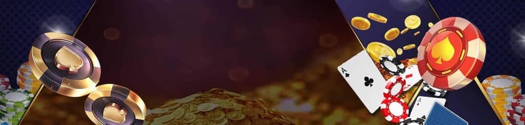 world sudoku champion
