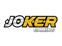 how do you work a sudoku puzzle
